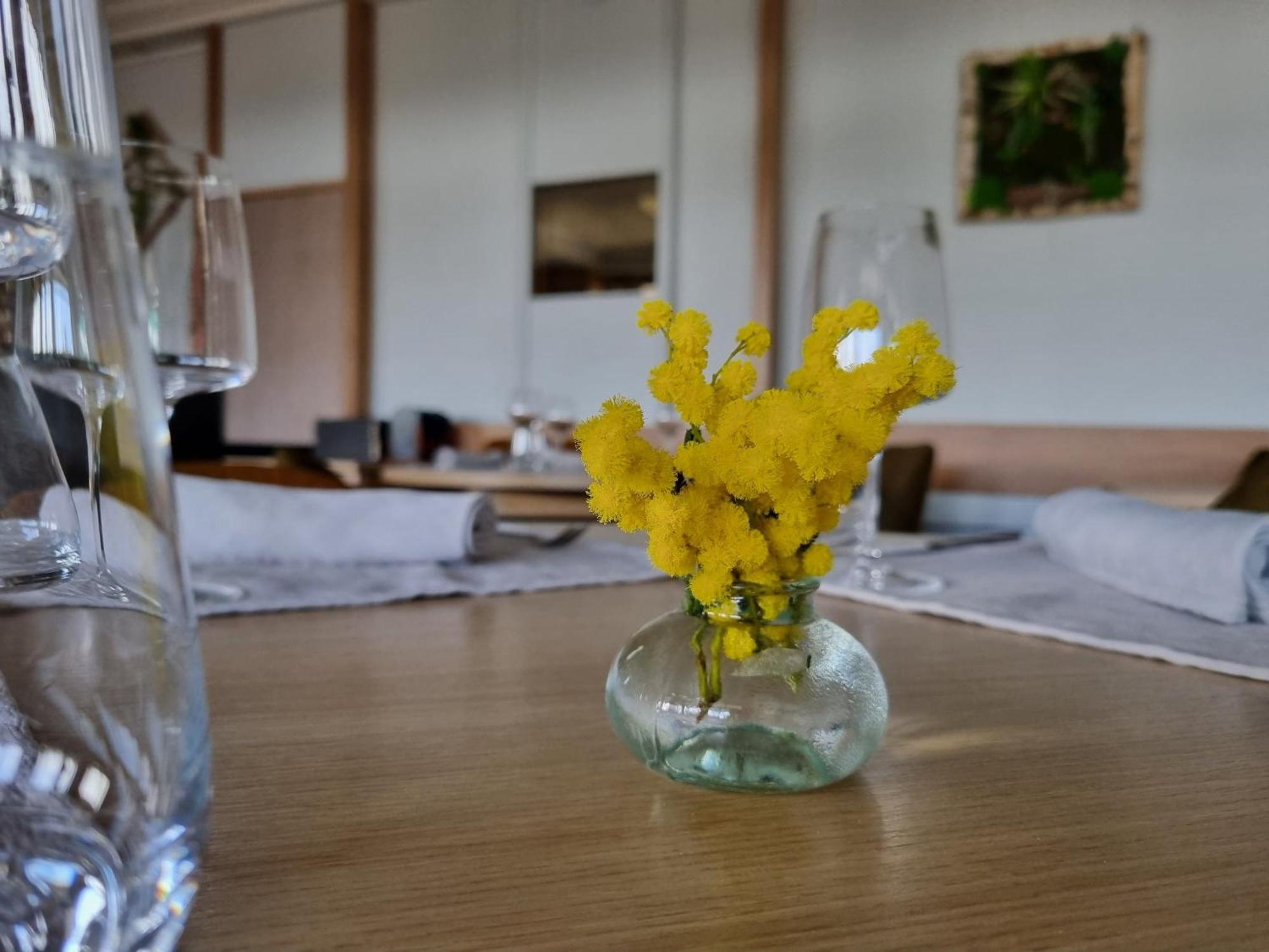 Logis Schaeffer- Restaurant Le Saint Georges Serrières-en-Chautagne
